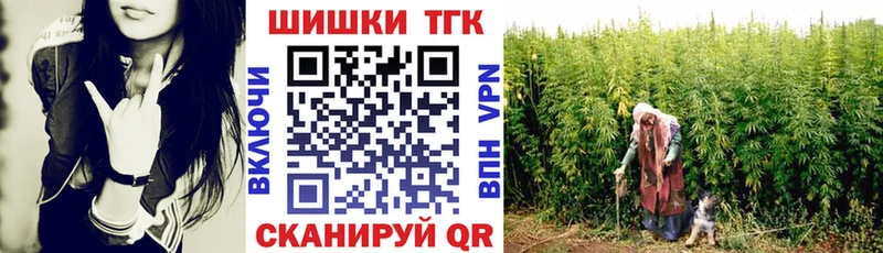 Шишки марихуана марихуана Купить Канаш